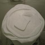 developing top detail 2