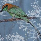 Indian Bee Eater (Peering)