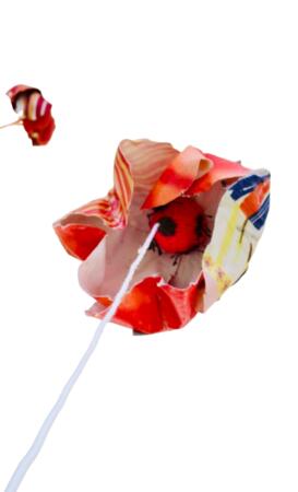 Forêt des contes, détails 