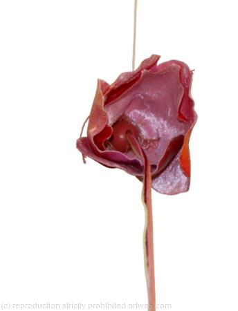 Forêt des contes, detail