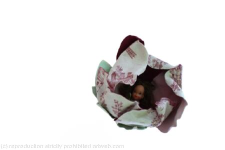 Forêt des contes, détail