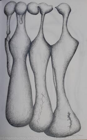 Des ronds et des ombres 