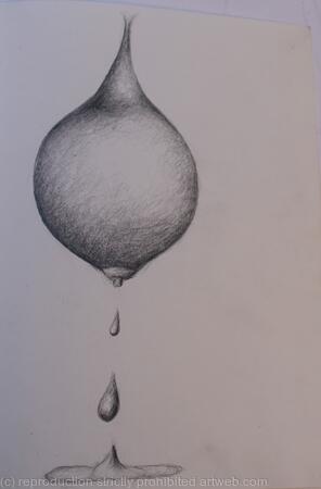 Des ronds et des ombres 