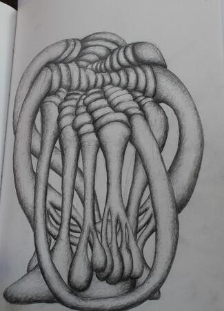 Des ronds et des ombres 