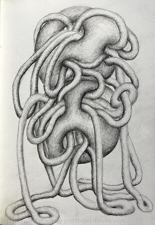 Des ronds et des ombres 