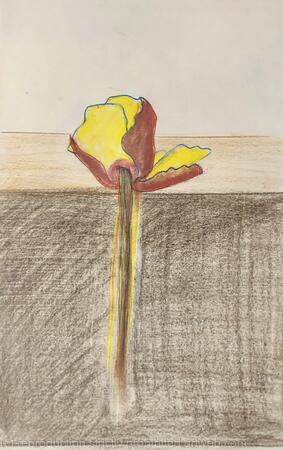 Croquis départ fleur 2023