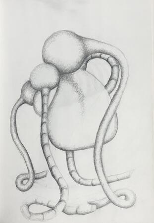 Des ronds et des ombres