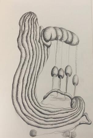 des ronds et des ombres