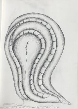 Des ronds et des ombres 