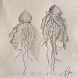 Dessin « Animal »