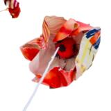 Forêt des contes, détails 