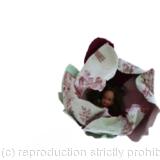 Forêt des contes, détail