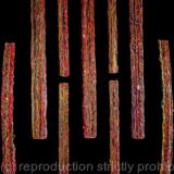 Ruissellements 2019 bande des 14