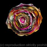 Forêt des contes détail 