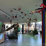 Forêt des contes. Théâtre le Forum Frejus 