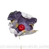 Forêt des contes, détail