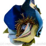 Forêt des contes détail 