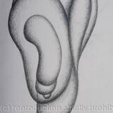 Des ronds et des ombres 