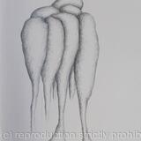 Des ronds et des ombres 