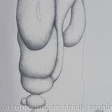 Des ronds et des ombres 