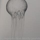 Des ronds et des ombres 