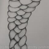 Des ronds et des ombres 