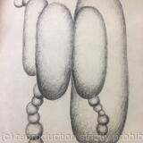 Des ronds et des ombres 