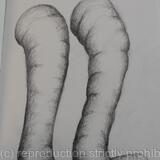 Des ronds et des ombres 