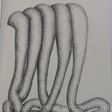 Des ronds et des ombres 