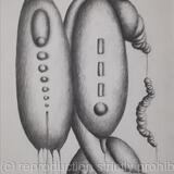 Des ronds et des ombres 2/2024