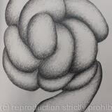 Des ronds et des ombres 