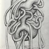 Des ronds et des ombres 