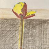 Croquis départ fleur 2023