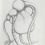 Des ronds et des ombres