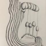 des ronds et des ombres