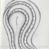 Des ronds et des ombres 