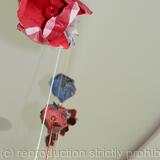 Forêt des contes detail