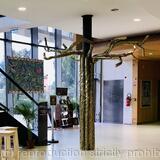 Forêt des contes l’arbre à pommes 