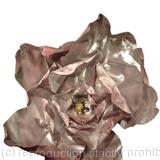 Fleur forêt des contes