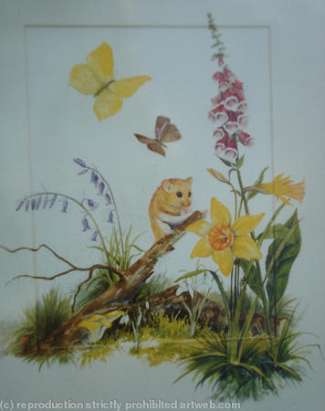 Wildlife Illustration 1