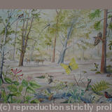 Wildlife Illustration