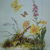 Wildlife Illustration 1