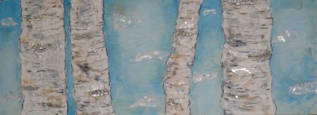 Silver birch