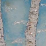 Silver birch