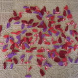 He Loves Me, He Loves Me Not...