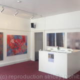 The Edinburgh Ski Cllub