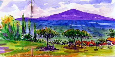 Oyster farming Languedoc