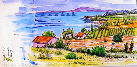 Oyster farming Languedoc