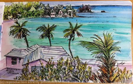 Cam Beaches Bermuda 1 3:11