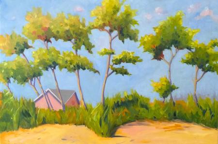 Beach House France 30'x20'